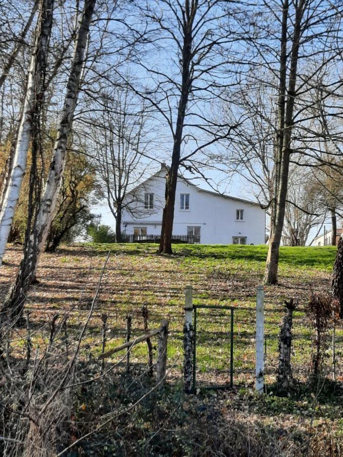 Autour Des Vignes B&B Herry ภายนอก รูปภาพ