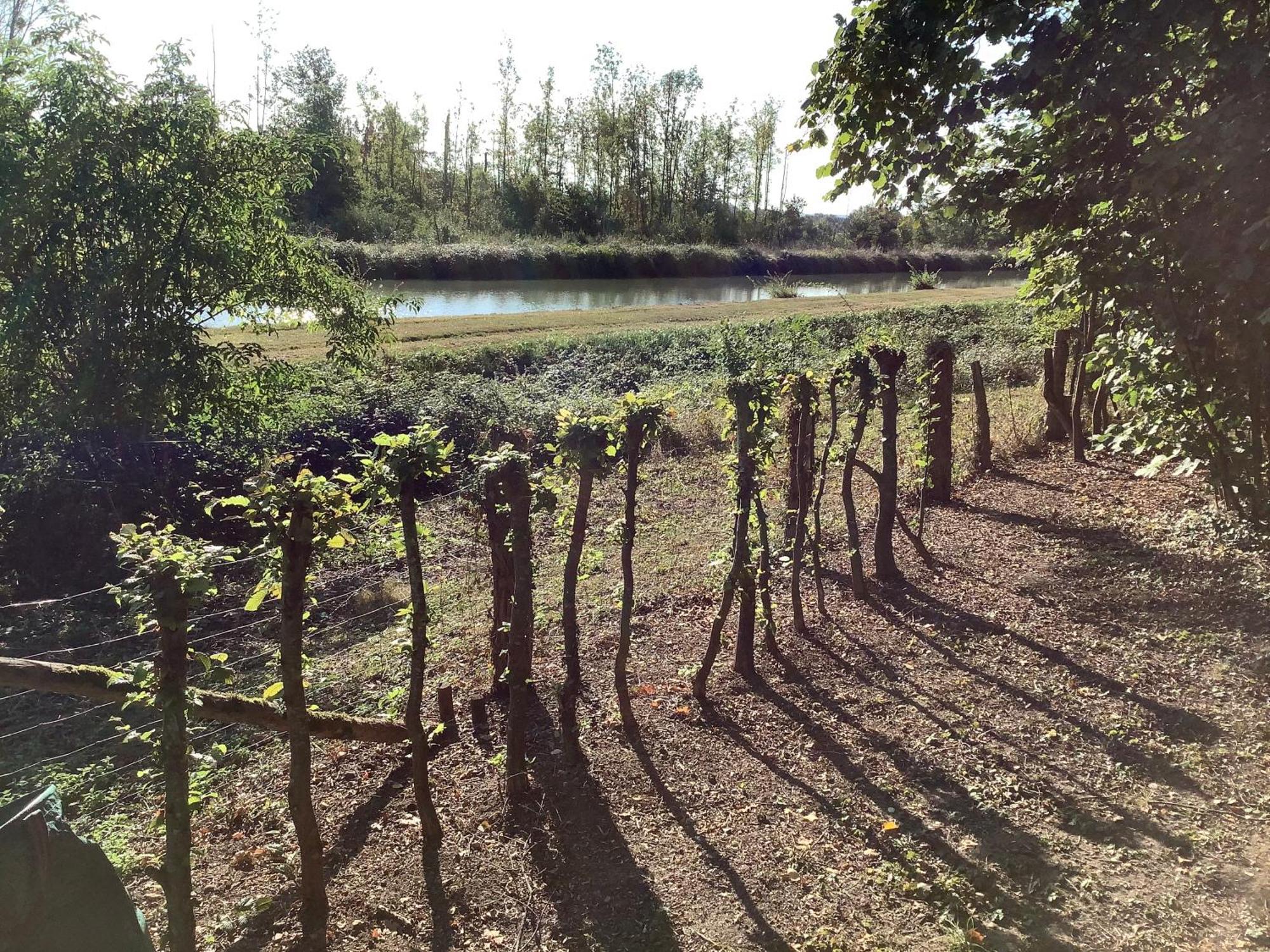 Autour Des Vignes B&B Herry ภายนอก รูปภาพ