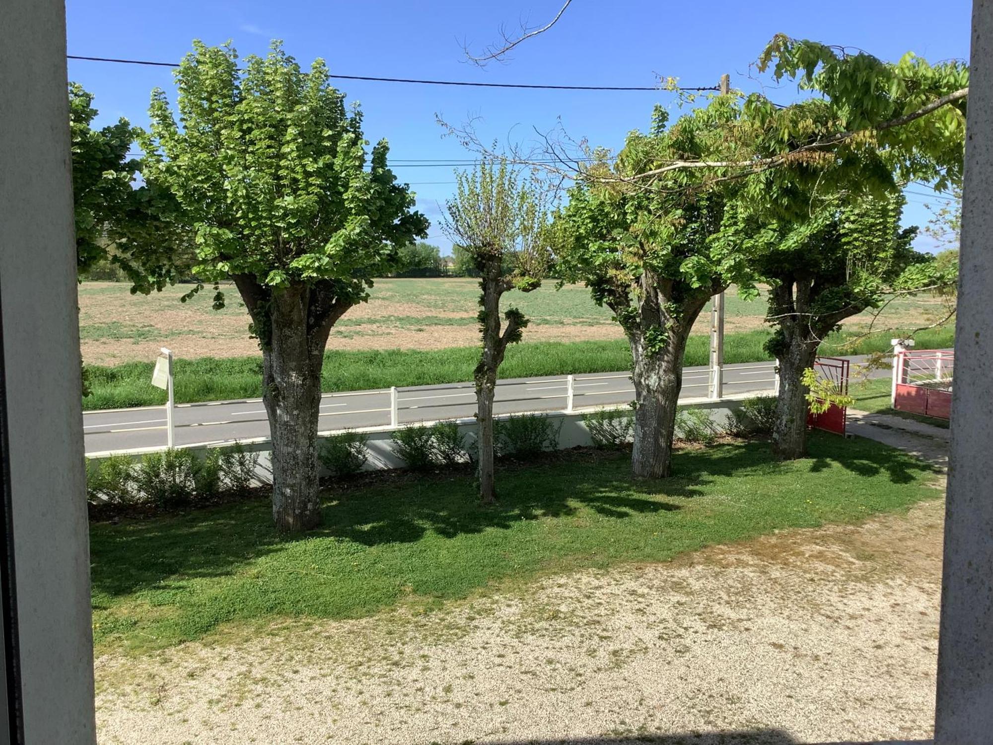 Autour Des Vignes B&B Herry ภายนอก รูปภาพ